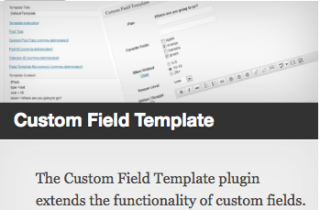 the-custom-field-template