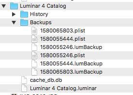 Luminar4 Library