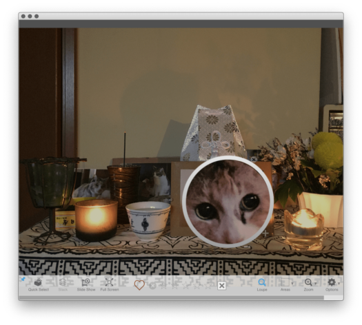 PhotoSupreme LiteEdition preview window