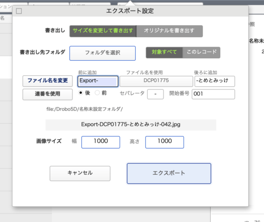 Export Panel overview