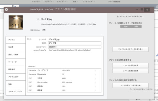 ファイル情報詳細パネル